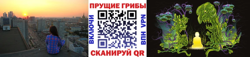Псилоцибиновые грибы Psilocybe  мега ONION  Биробиджан  купить наркотик 