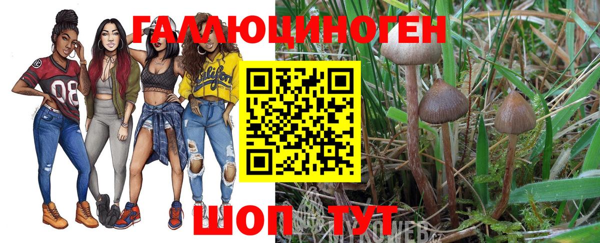 Биробиджан  Галлюциногенные грибы Psilocybe  Вход с VPN 
